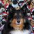 Lynne Young's profile image