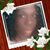 Shanita Johnson's profile image