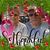 Mike Morgese's profile image