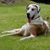 Lee Anne Schery's profile image