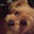 Sandy Mccullough's profile image