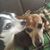 Janet Lynn Smith's profile image