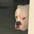 Jonathan Plowden's profile image