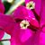 Nancy Gieselman's profile image