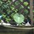 Jane Boringmore's profile image