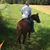 Tristan Buddenhagen's profile image