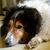 Kim Mastrogiovanni's profile image