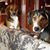 Connie Hollenbaugh's profile image