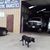 John's Auto Builders's profile image