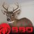 Randy Benton's profile image