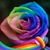 Maureen Catherine's profile image