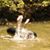 Evan Alton Painter's profile image