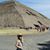 Catie Puckett's profile image