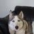 Linda Steffen's profile image