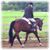 Maryann Bosak-Baer's profile image