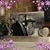 Brenda Kline's profile image