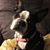 Linda Jacques Schulenberg's profile image