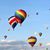 Diane Morici's profile image