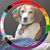 Liz Ross Jones's profile image