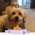 Tish N Sand's profile image