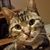Marian Bauman's profile image
