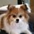 Sue Bennett Yarmeak's profile image