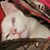 Sherie Brown's profile image