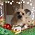 Lidia Perry's profile image