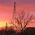 Tina Mischke Schenk's profile image