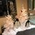 Calene Kieffer's profile image