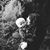 Amanda Rogers Miller's profile image
