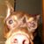 Jonathan Frohnen's profile image