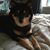 Debbi Brown Robles's profile image