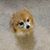 Dion Greenfield's profile image