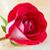 Mayra Ruiz's profile image
