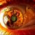 Brian A DeBolt's profile image