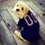 Joanne Mulrath's profile image