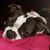 Jo-Nell Madron Isenhour's profile image