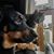 Tracey P Cairns's profile image