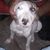 Jose Guadalupe Santiago Melo's profile image