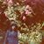 Victoria McKeon's profile image