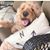Teri Trush Cormier's profile image