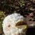 Marie Fidoe's profile image