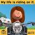 Donna Fitch Mckee's profile image