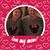 Sarah Dawn Klamar Berg's profile image
