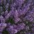 Jennifer Guilford-Slager's profile image