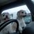 Lisa Thompson Johnson's profile image