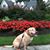 Peggy Tetreault Waddington's profile image