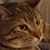 Jaz Mueterthies's profile image