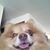 Teri Kershner's profile image